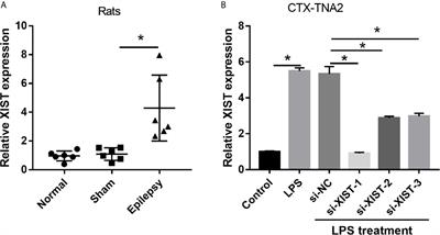 Long Noncoding RNA X-Inactive-Specific Transcript Promotes the Secretion of Inflammatory Cytokines in LPS Stimulated Astrocyte Cell Via Sponging miR-29c-3p and Regulating Nuclear Factor of Activated T cell 5 Expression